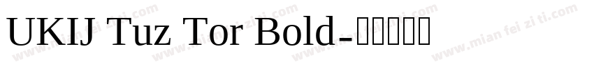 UKIJ Tuz Tor Bold字体转换